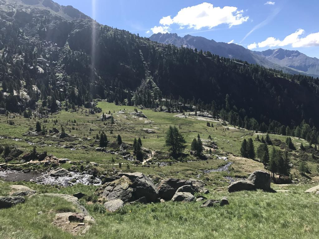 Pejo Appartamenti Pegolotti Cogolo Dış mekan fotoğraf